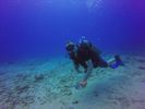 Hawaii Scuba divng 21