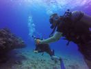 Hawaii Scuba divng 24