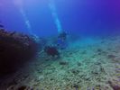 Hawaii Scuba divng 28