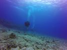 Hawaii Scuba divng 29