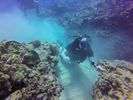 Hawaii Scuba divng 35