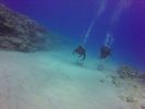 Hawaii Scuba divng 36