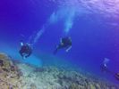 Hawaii Scuba divng 39