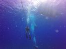 Hawaii Scuba divng 03