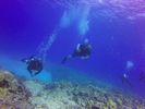 Hawaii Scuba divng 40