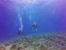 Hawaii Scuba divng 41