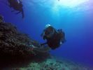 Hawaii Scuba divng 45