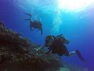 Hawaii Scuba divng 46