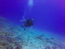 Hawaii Scuba divng 47