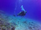 Hawaii Scuba divng 48