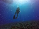 Hawaii Scuba divng 04