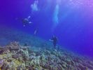 Hawaii Scuba divng 51