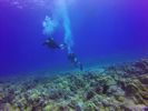 Hawaii Scuba divng 56