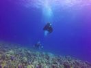 Hawaii Scuba divng 57