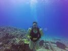 Hawaii Scuba divng 05