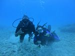 Hawaii Scuba divng 10