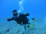 Hawaii Scuba divng 11