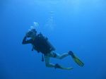 Hawaii Scuba divng 13