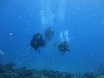 Hawaii Scuba divng 16