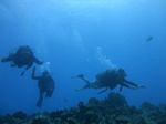 Hawaii Scuba divng 17