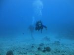 Hawaii Scuba divng 20