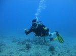 Hawaii Scuba divng 21