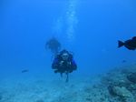 Hawaii Scuba divng 25