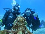 Hawaii Scuba divng 30