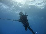 Hawaii Scuba divng 41