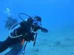 Hawaii Scuba divng 48