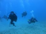 Hawaii Scuba divng 49