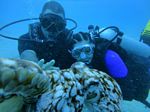 Hawaii Scuba divng 04