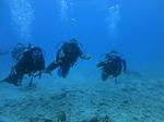 Hawaii Scuba divng 54