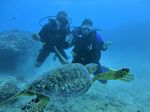 Hawaii Scuba divng 62