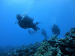 Hawaii Scuba divng 79