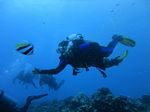 Hawaii Scuba divng 80