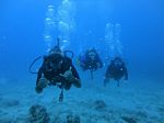 Hawaii Scuba divng 81