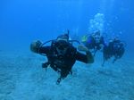 Hawaii Scuba divng 82