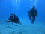 Hawaii Scuba divng 09