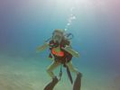 Hawaii Scuba divng 11