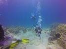 Hawaii Scuba divng 19