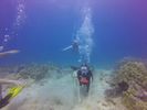 Hawaii Scuba divng 20