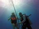 Hawaii Scuba divng 23