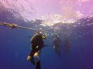 Hawaii Scuba divng 25