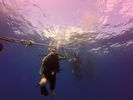 Hawaii Scuba divng 26