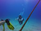 Hawaii Scuba divng 32