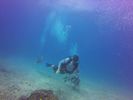 Hawaii Scuba divng 34