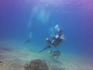 Hawaii Scuba divng 35