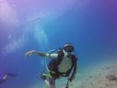 Hawaii Scuba divng 36