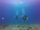 Hawaii Scuba divng 39